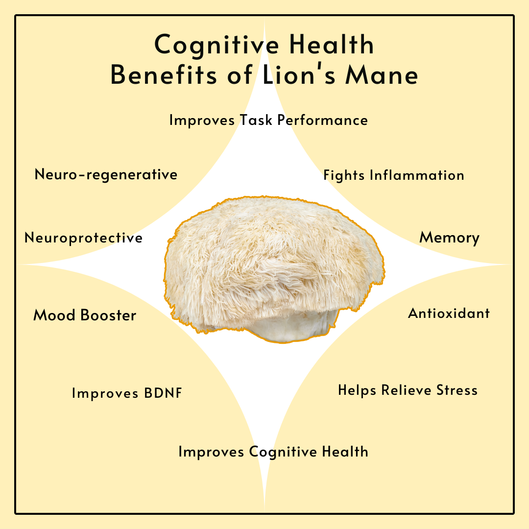 lion's mane benefits