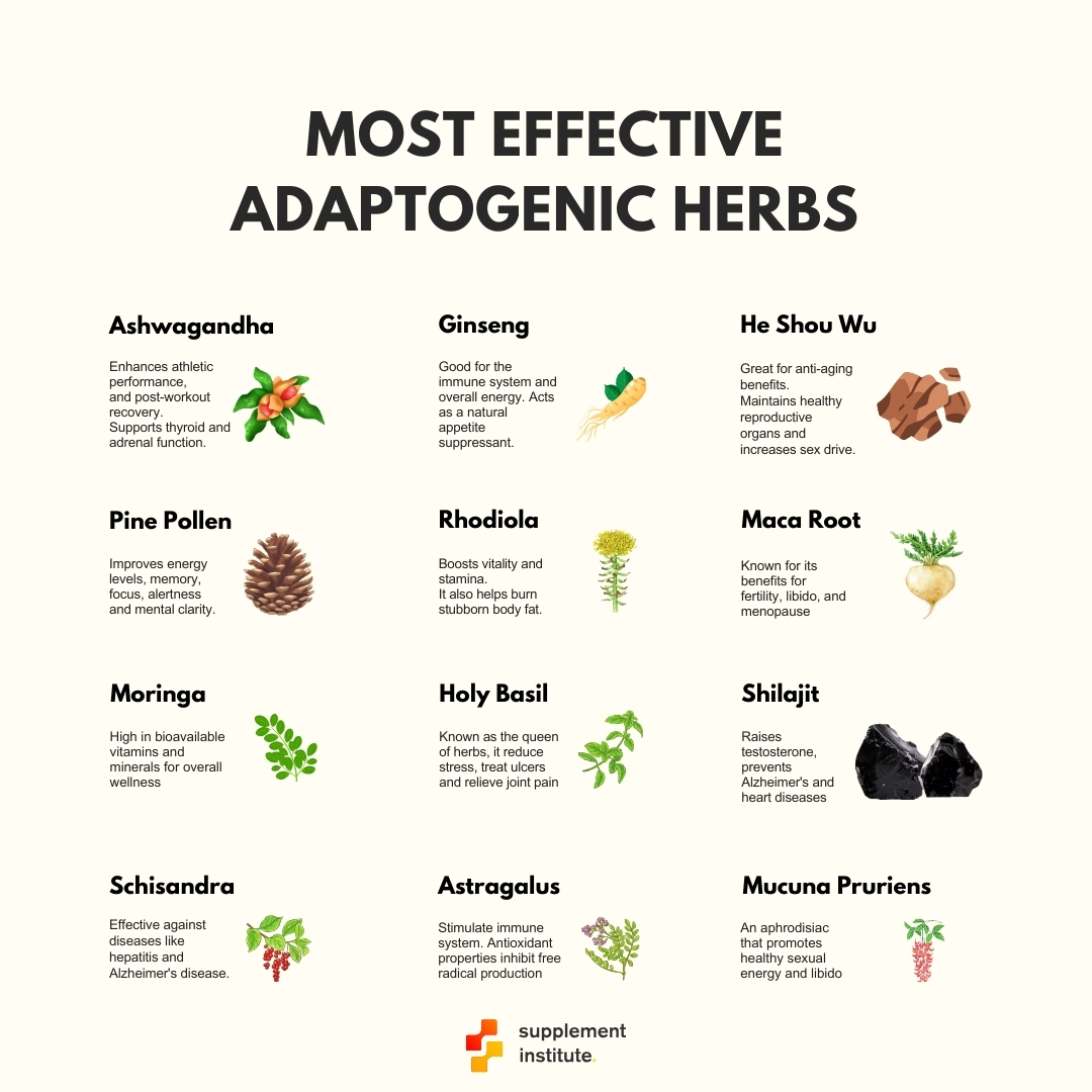 ADAPTOGENIC HERBS