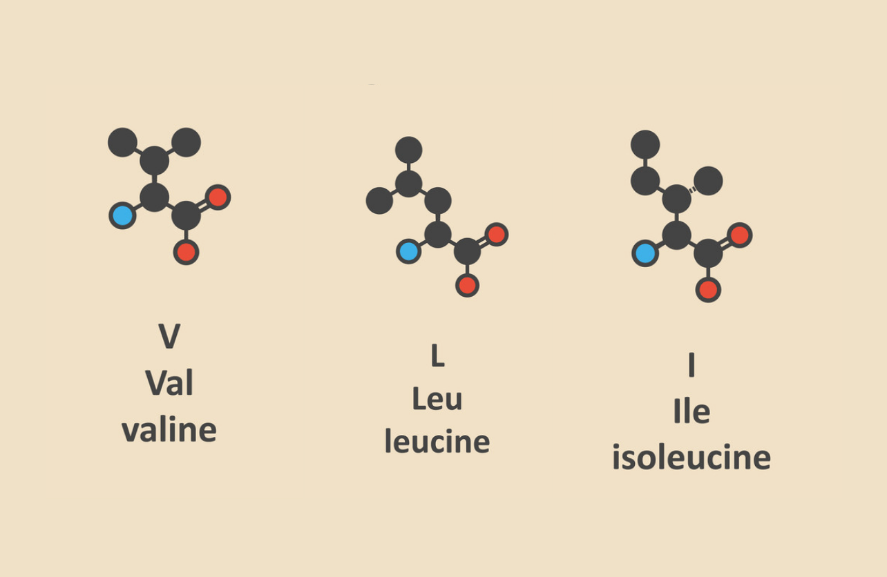 bcaas